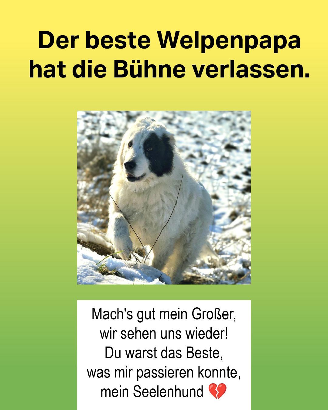 Kayuh-Trauer