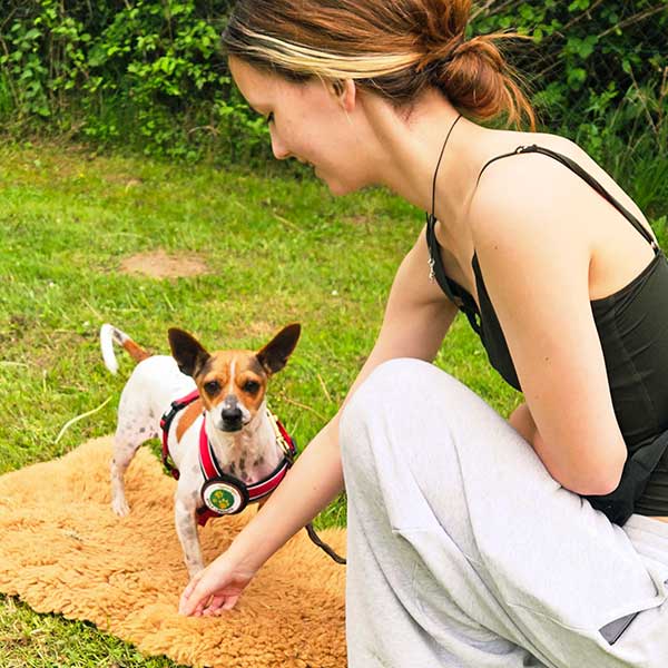 trickdog-beHappy-600px